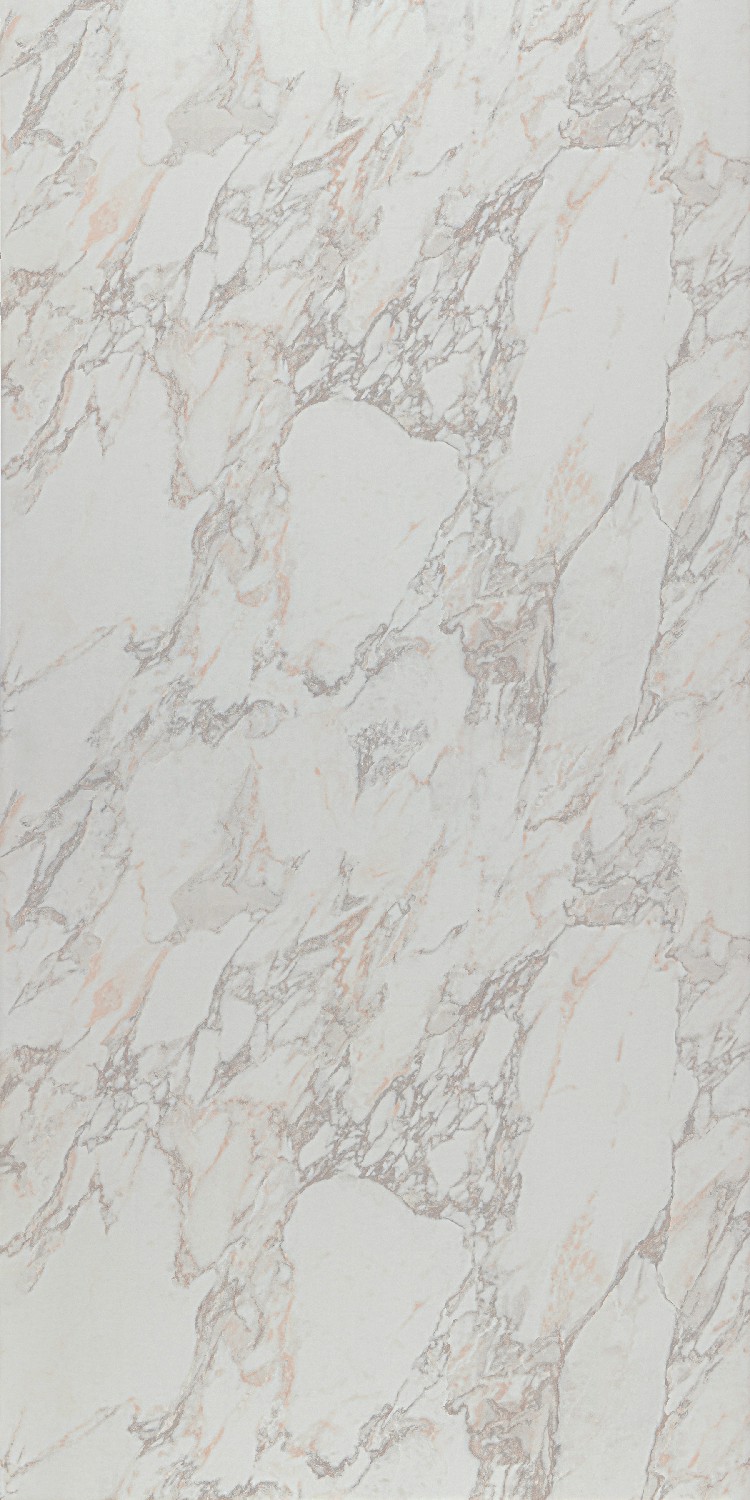 Formica Cora
